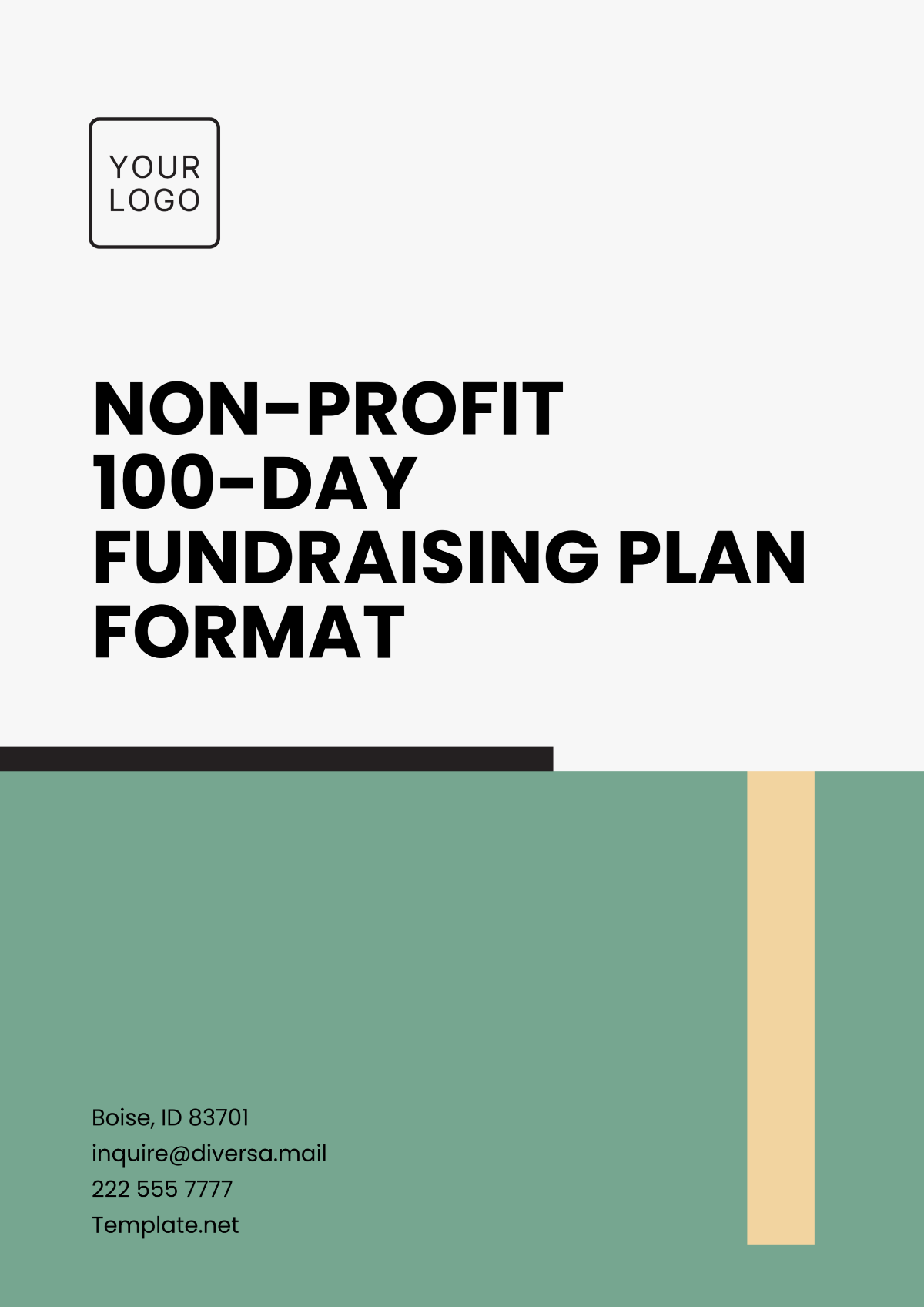 Non-Profit 100-Day Fundraising Plan Format Template - Edit Online & Download