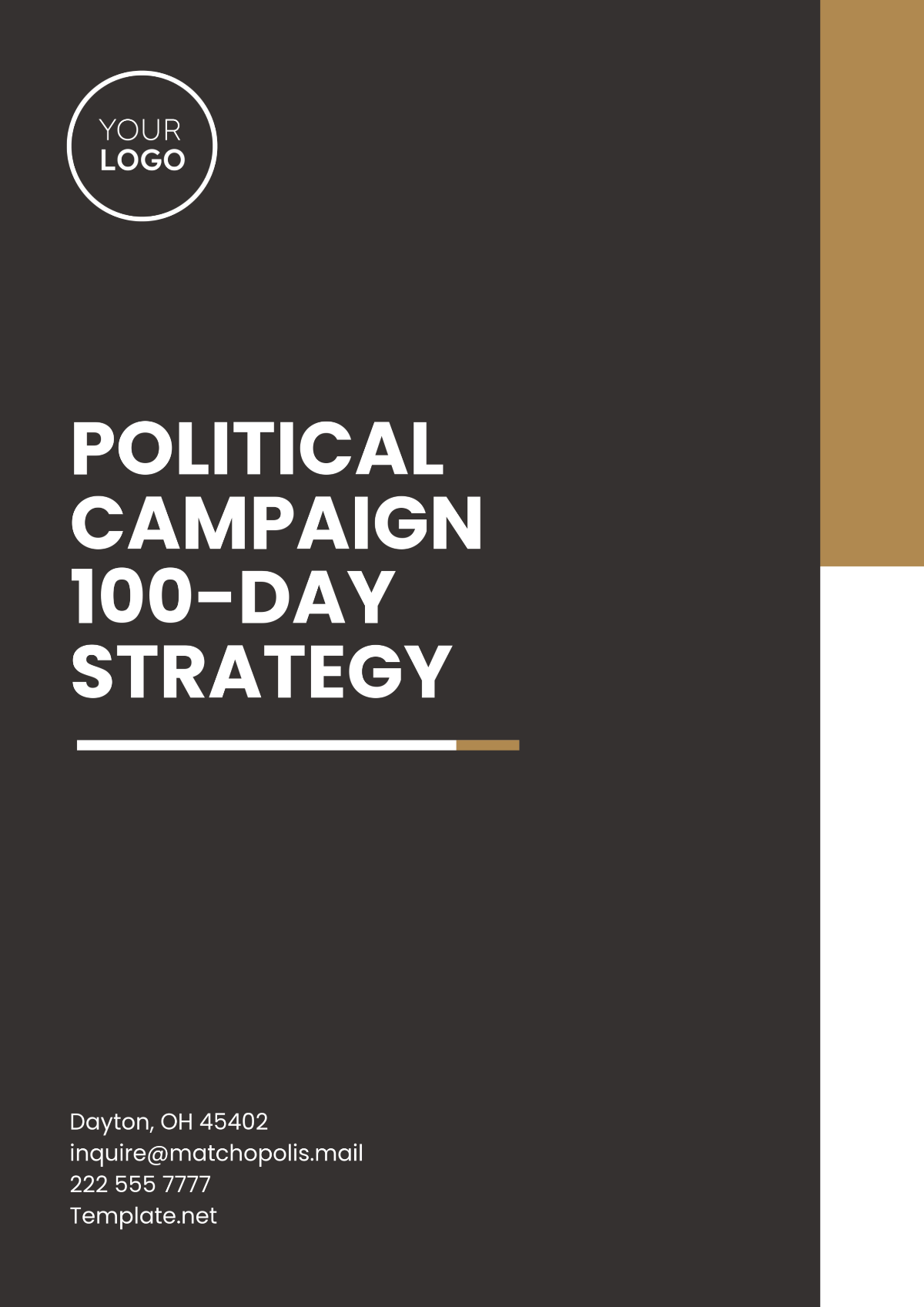 Political Campaign 100-Day Strategy Template - Edit Online & Download