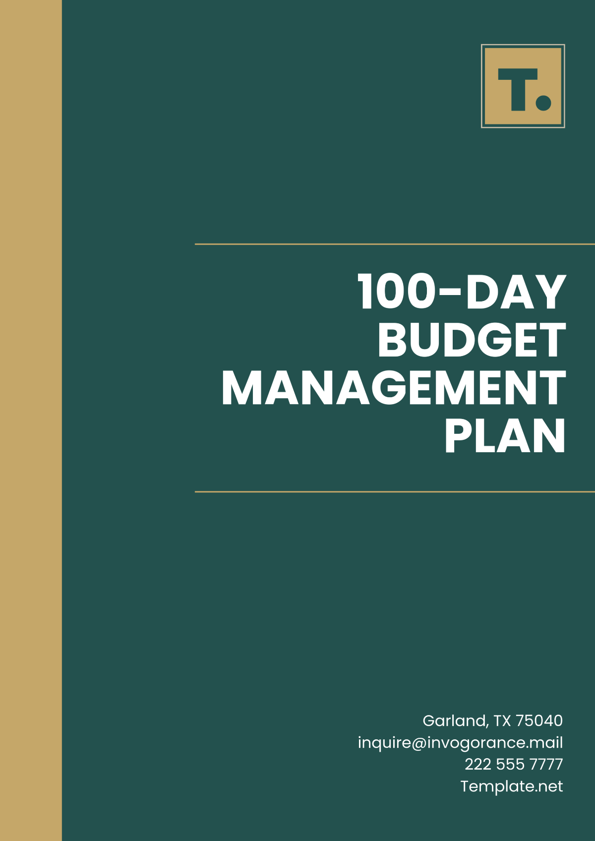 100-Day Budget Management Plan Template - Edit Online & Download