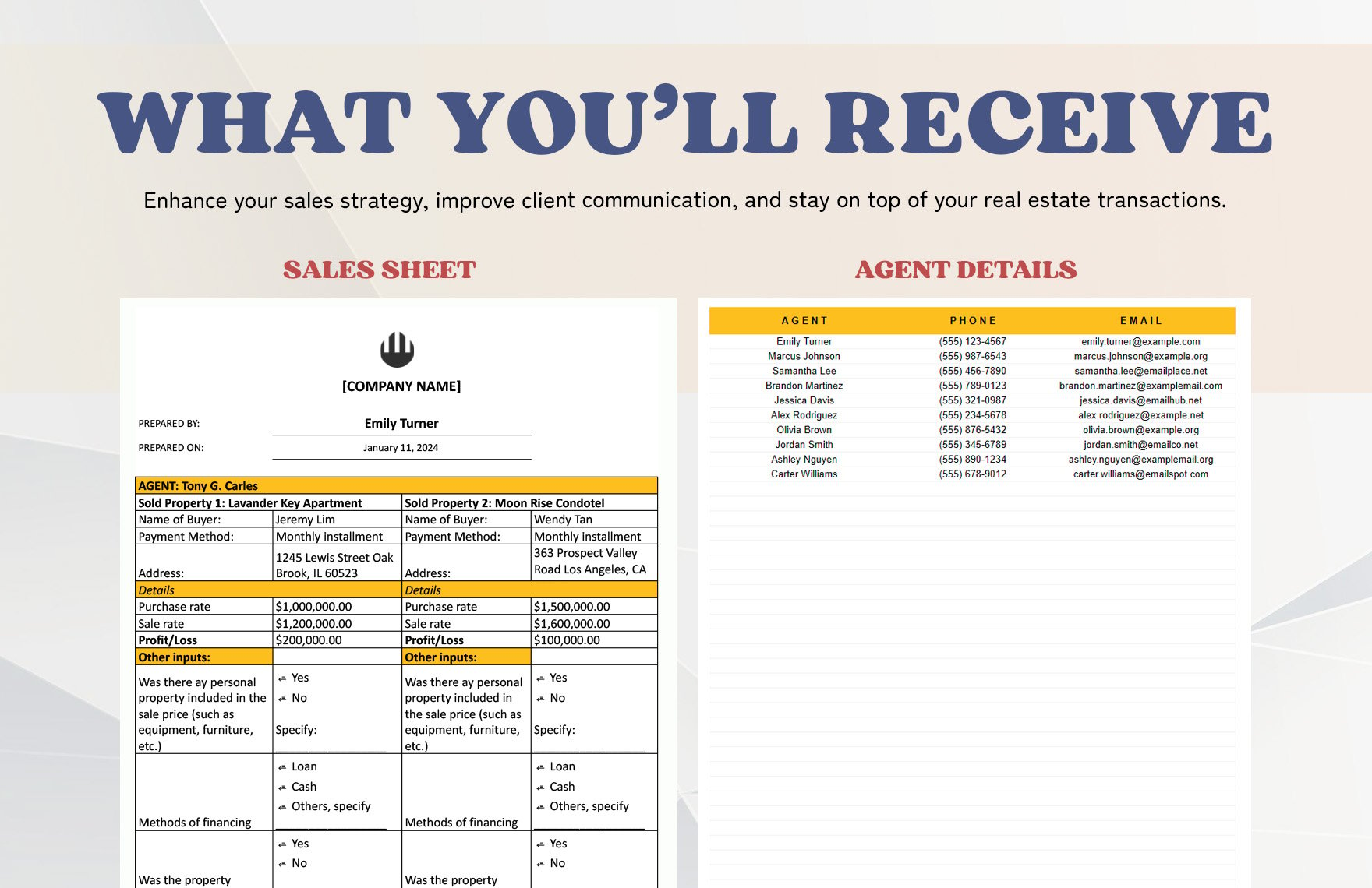 Real Estate Agent Sales Sheet Template