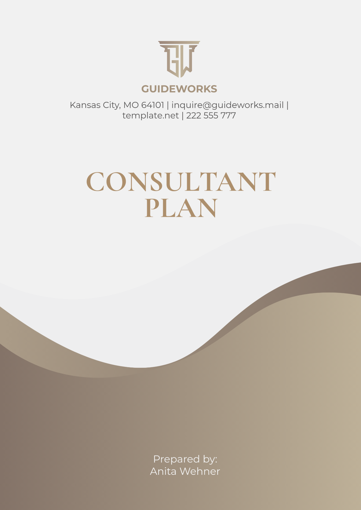 Free Consultant Plan Template