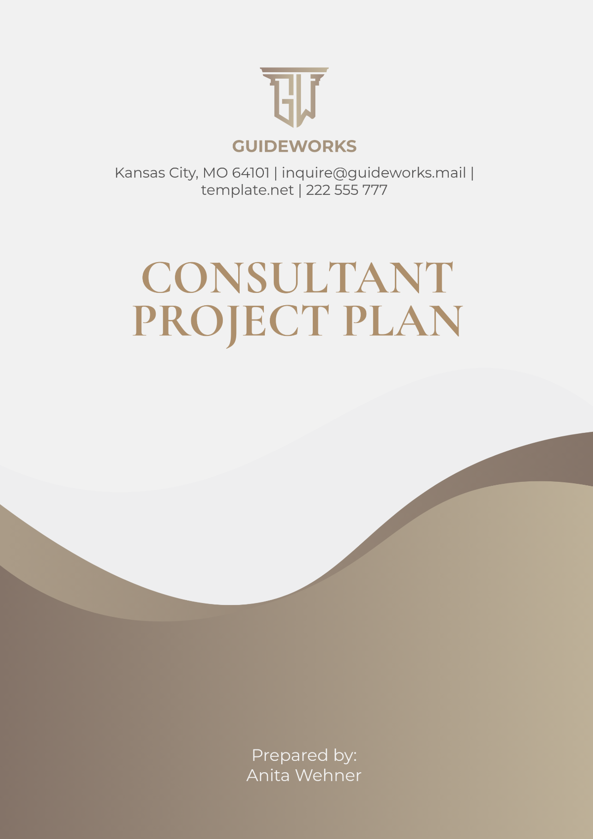 Free Consultant Project Plan Template