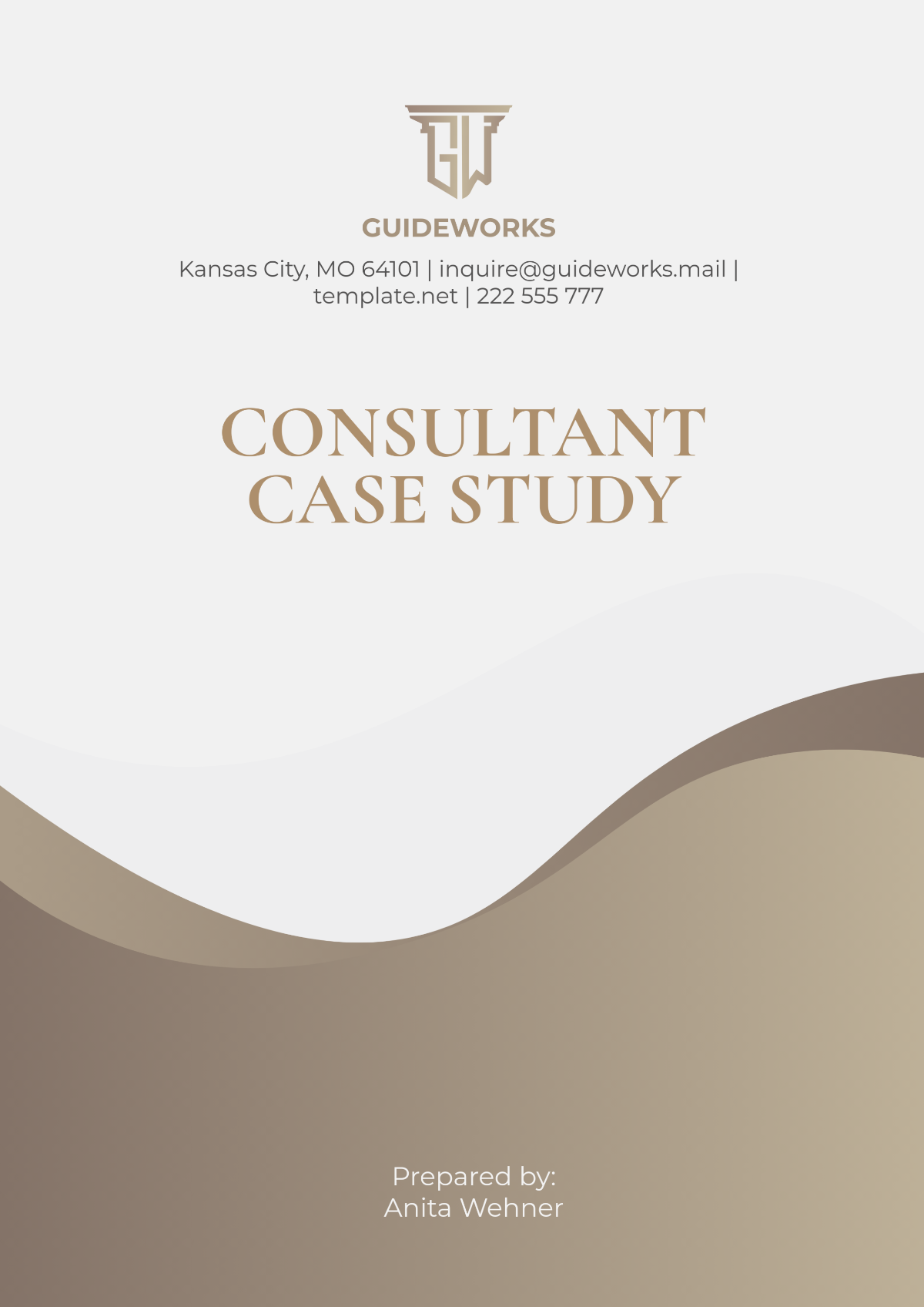 Free Consultant Case Study Template