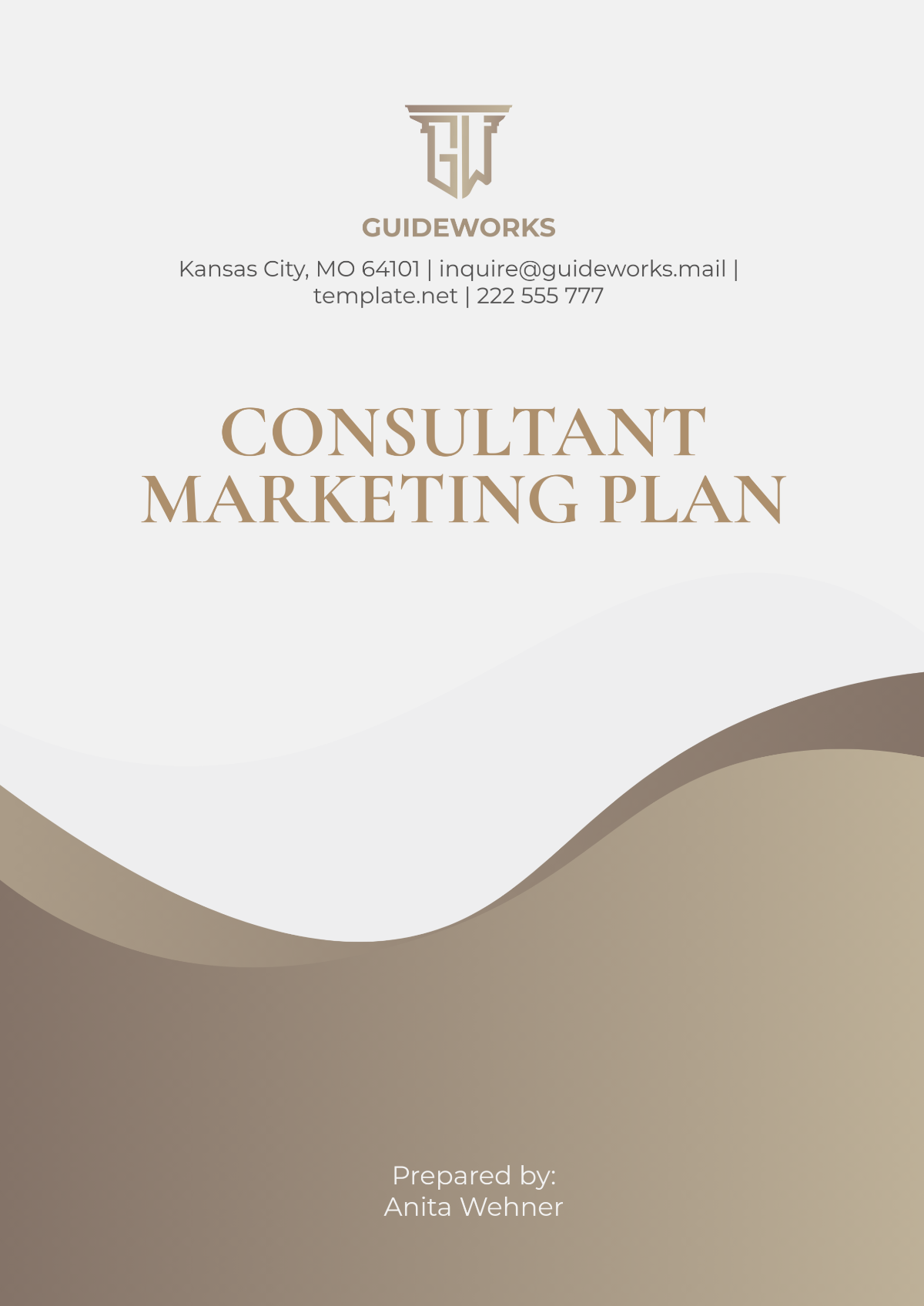 Free Consultant Marketing Plan Template