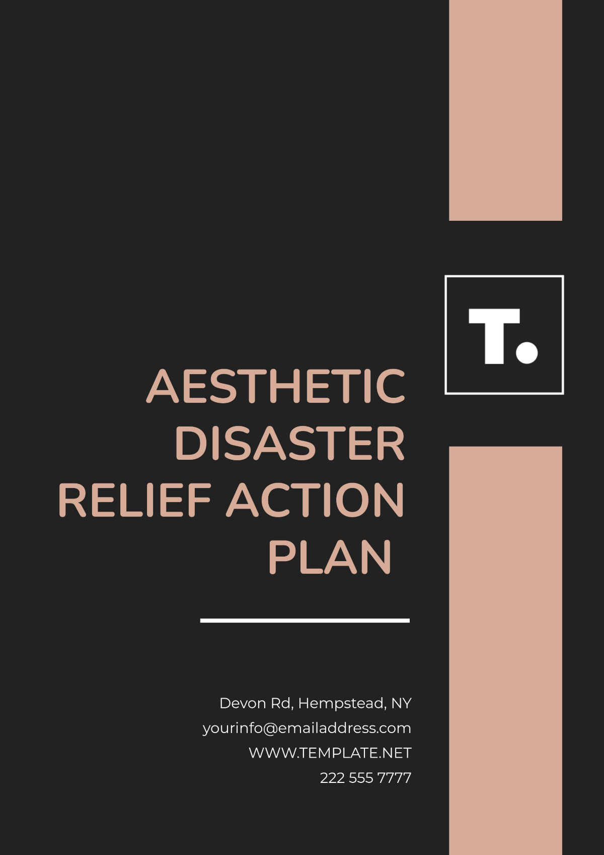 Free Aesthetic Disaster Relief Action Plan Template