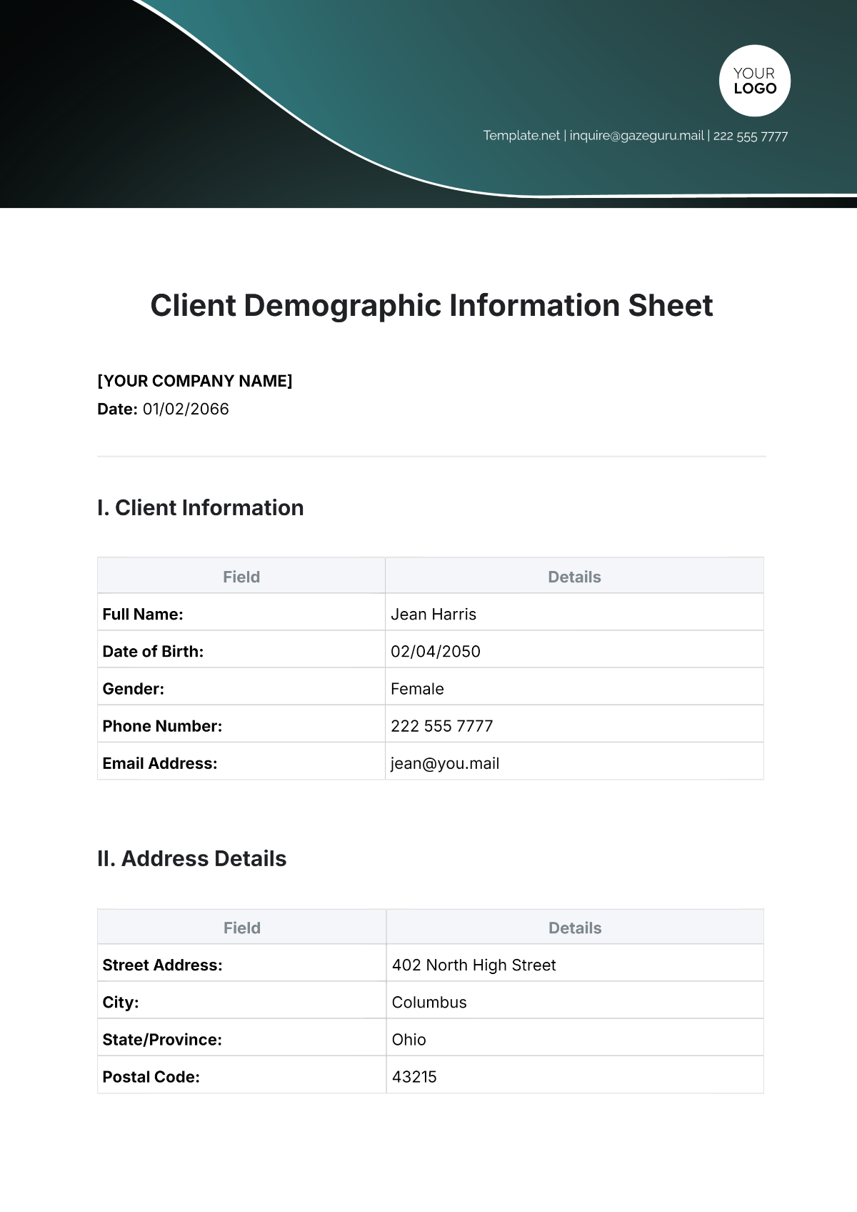 Free Client Demographic Information Sheet Template