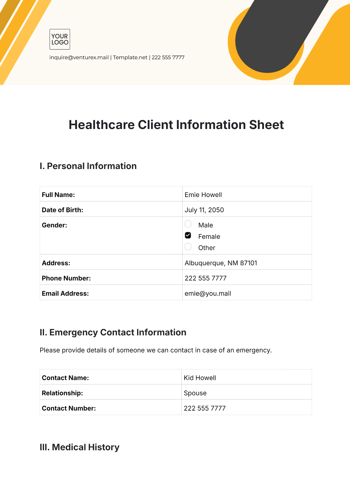 Free Healthcare Client Information Sheet Template