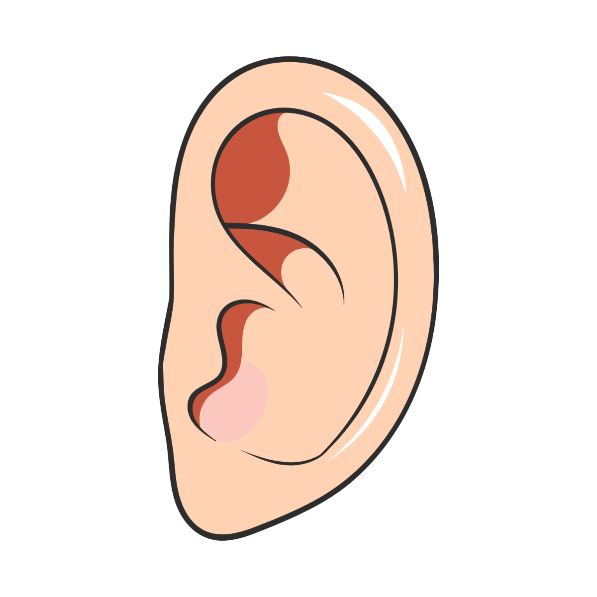 Ear Clipart - Edit Online | Template.net