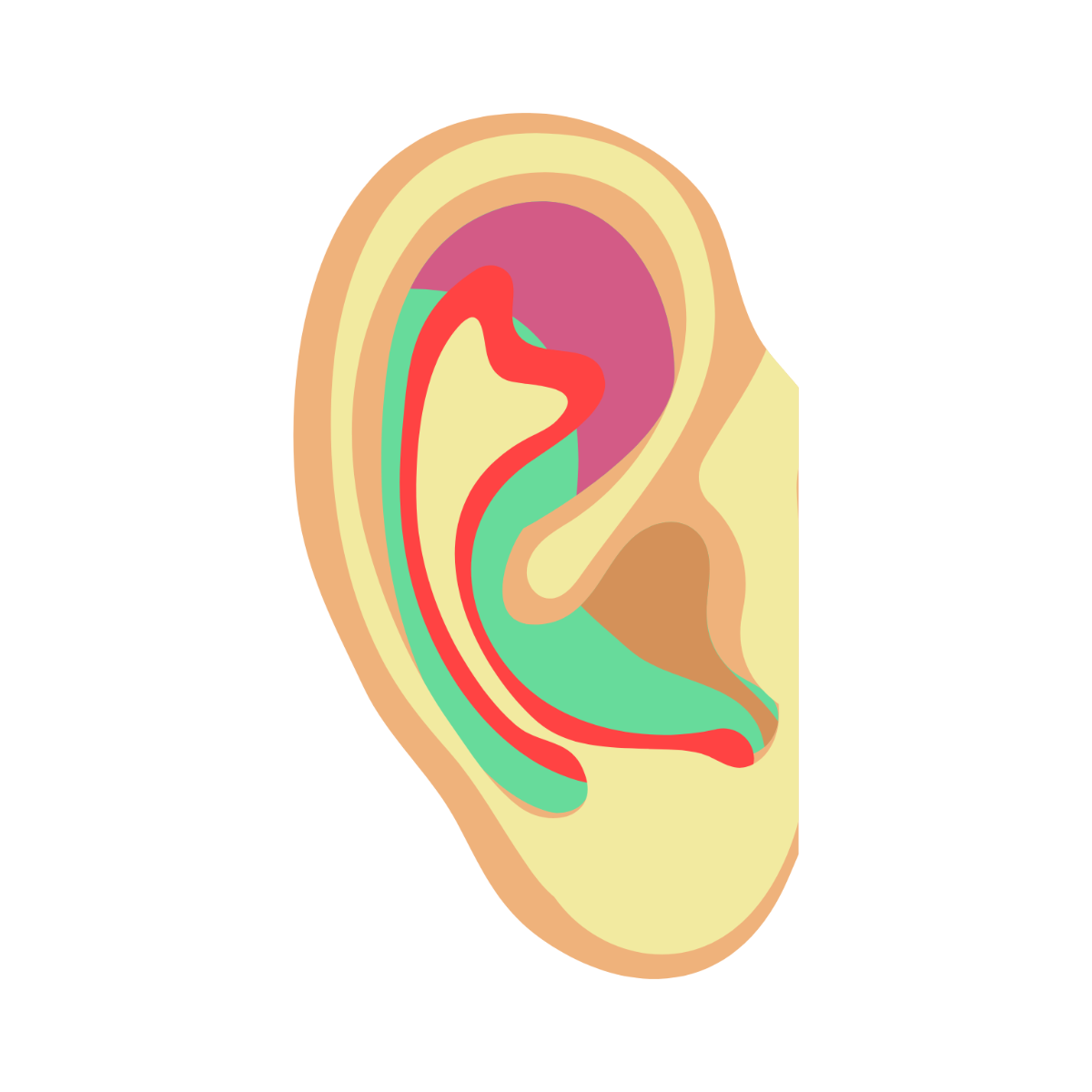 Colorful Ear Clipart - Edit Online | Template.net