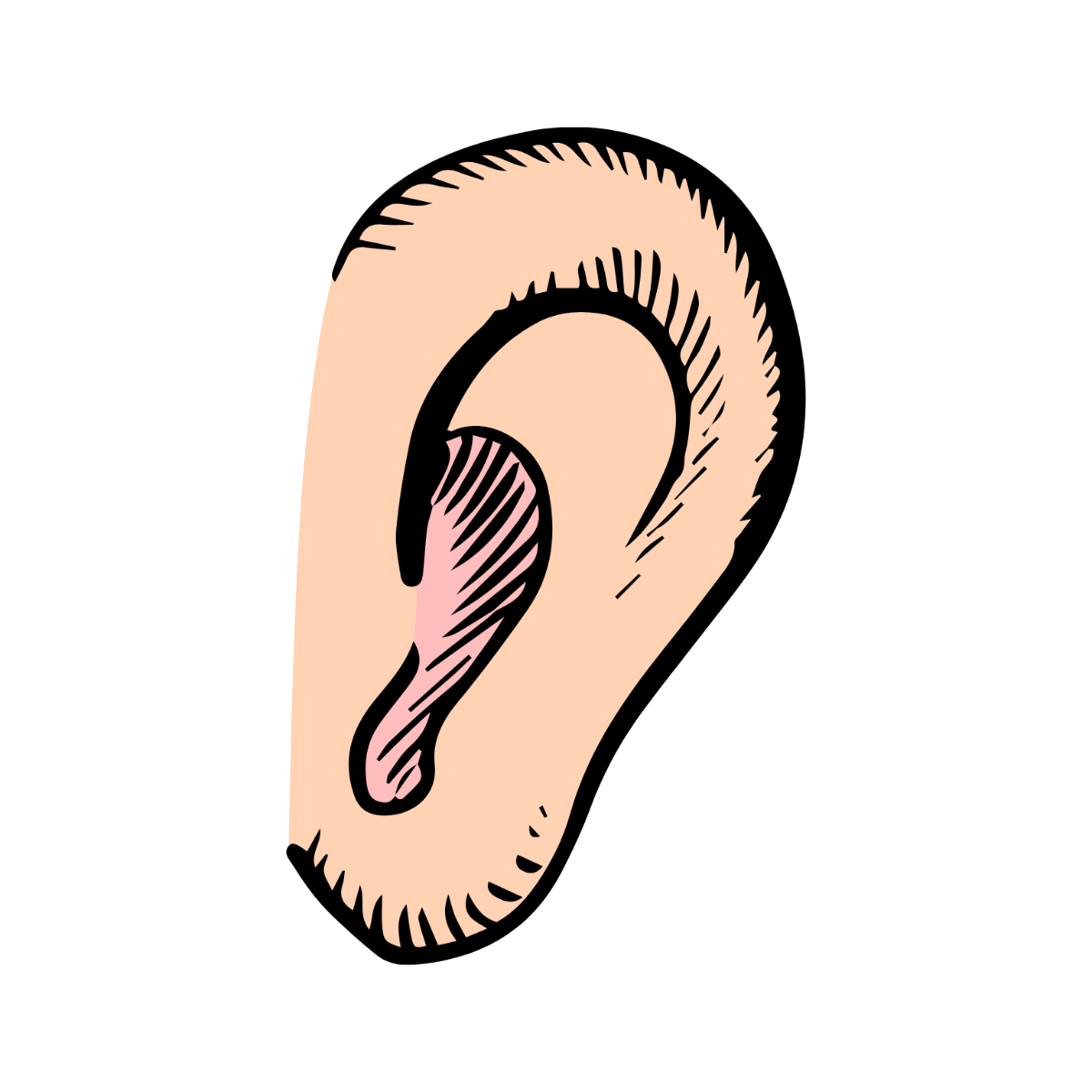 Cartoon Ear Clipart - Edit Online | Template.net