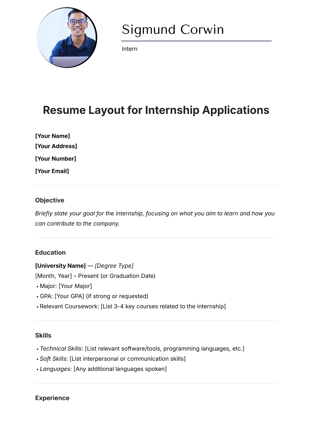 Free Resume Layout Template for Internship Applications