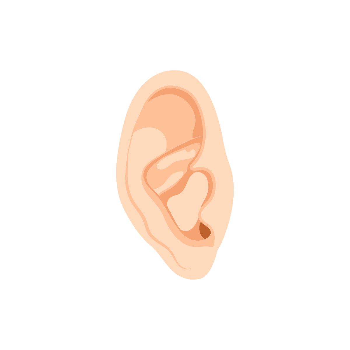 Medical Ear Clipart  - Edit Online | Template.net