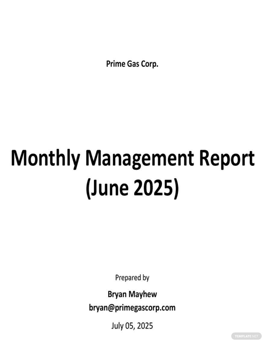 Monthly Management Report Sample Template