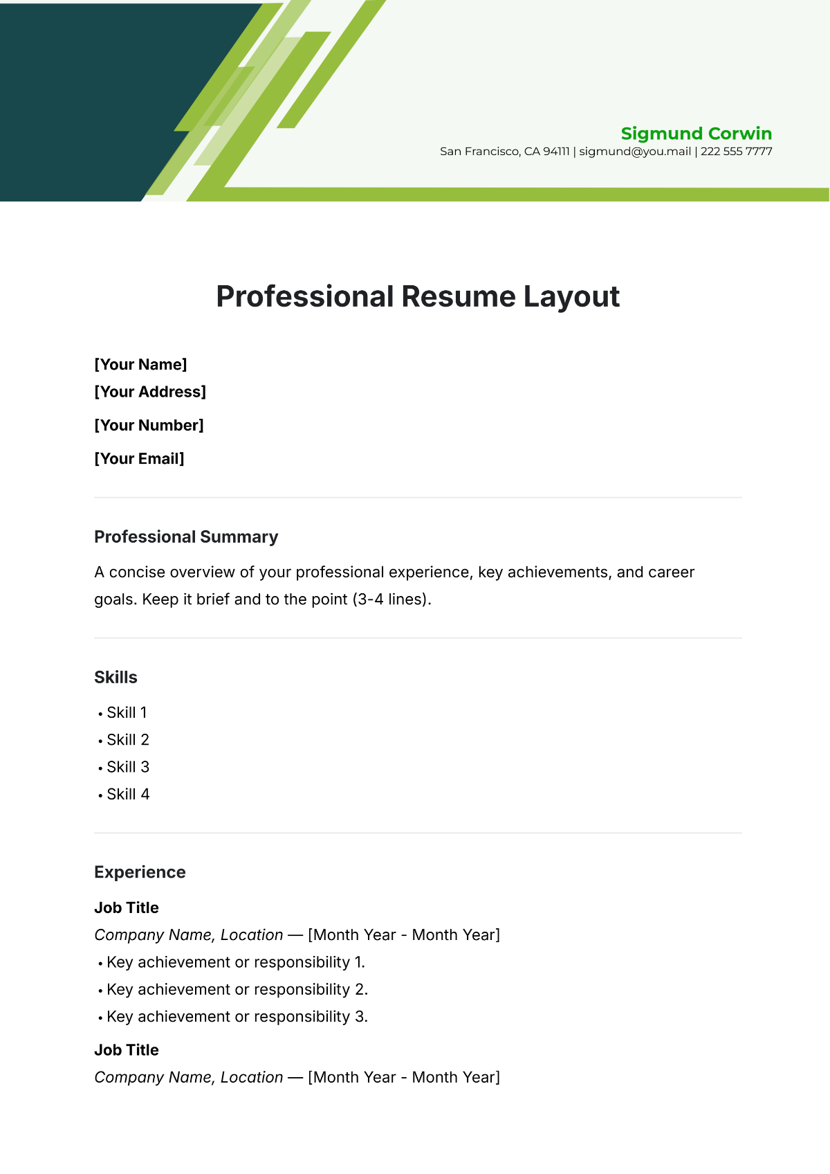 Free Professional Resume Layout Template