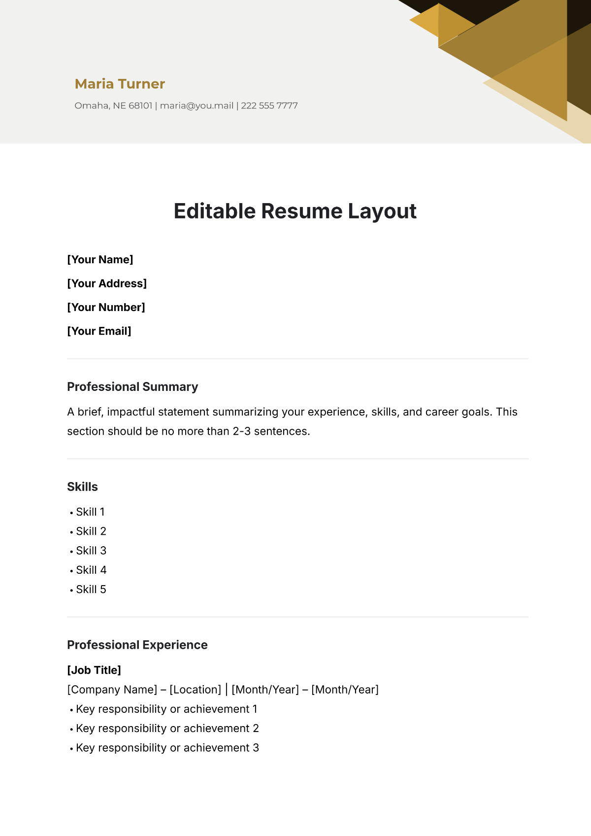 Free Editable Resume Layout Template