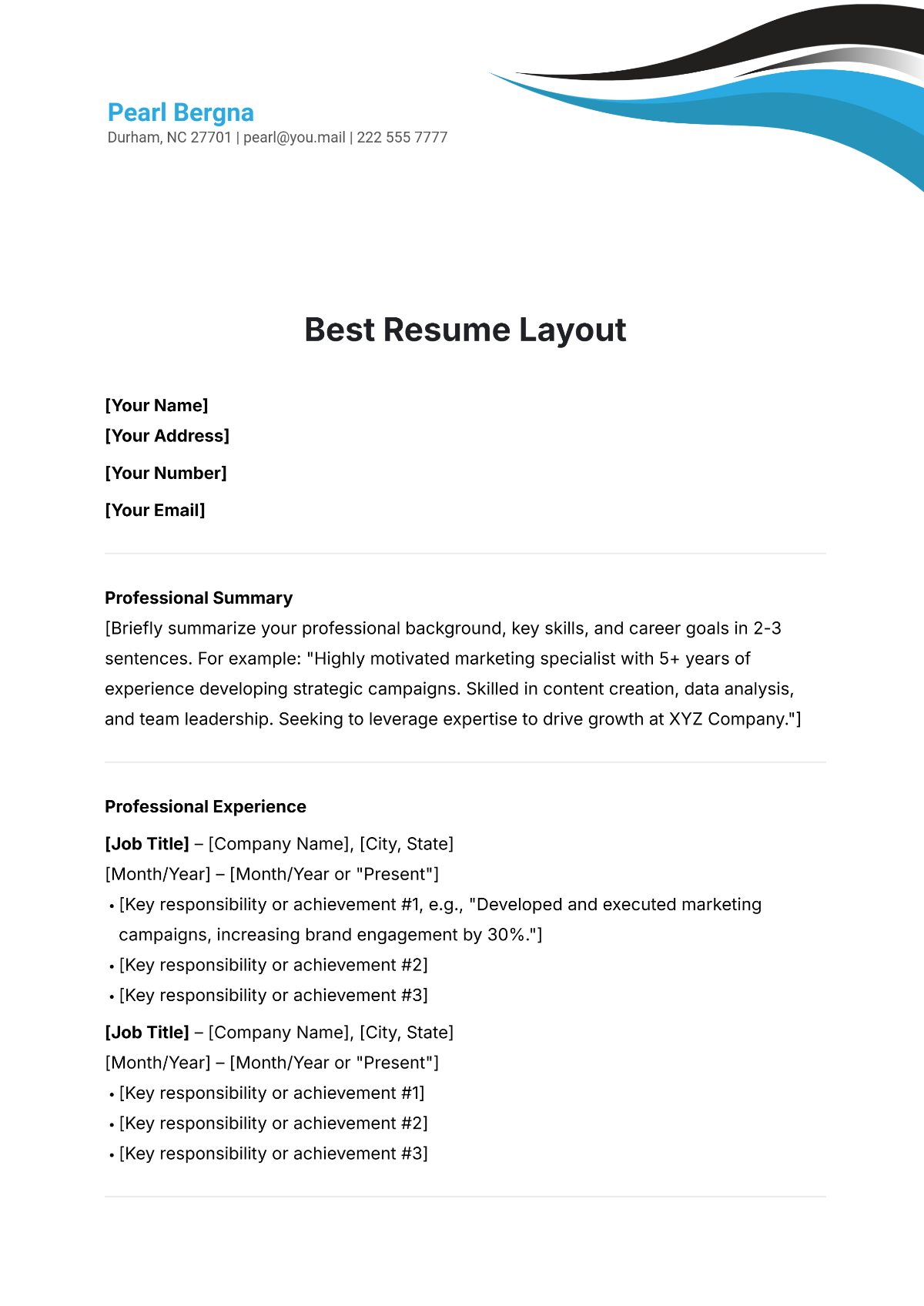 Free Best Resume Layout Template