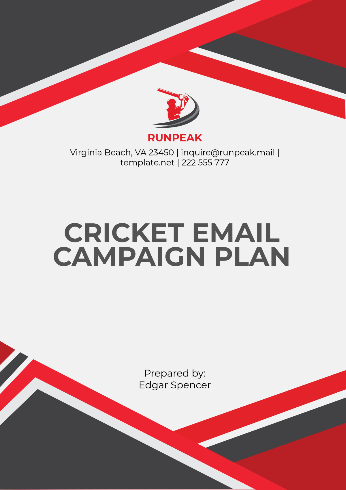 Free Cricket Email Campaign Plan Template