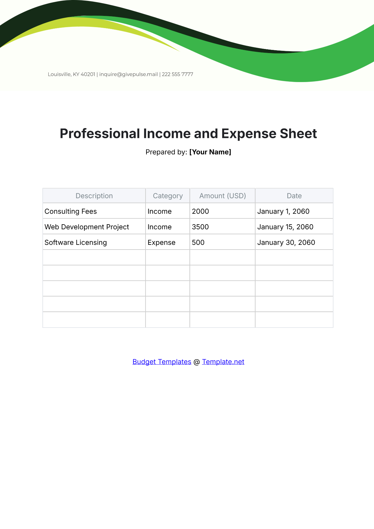 Free Professional Income and Expense Sheet Template