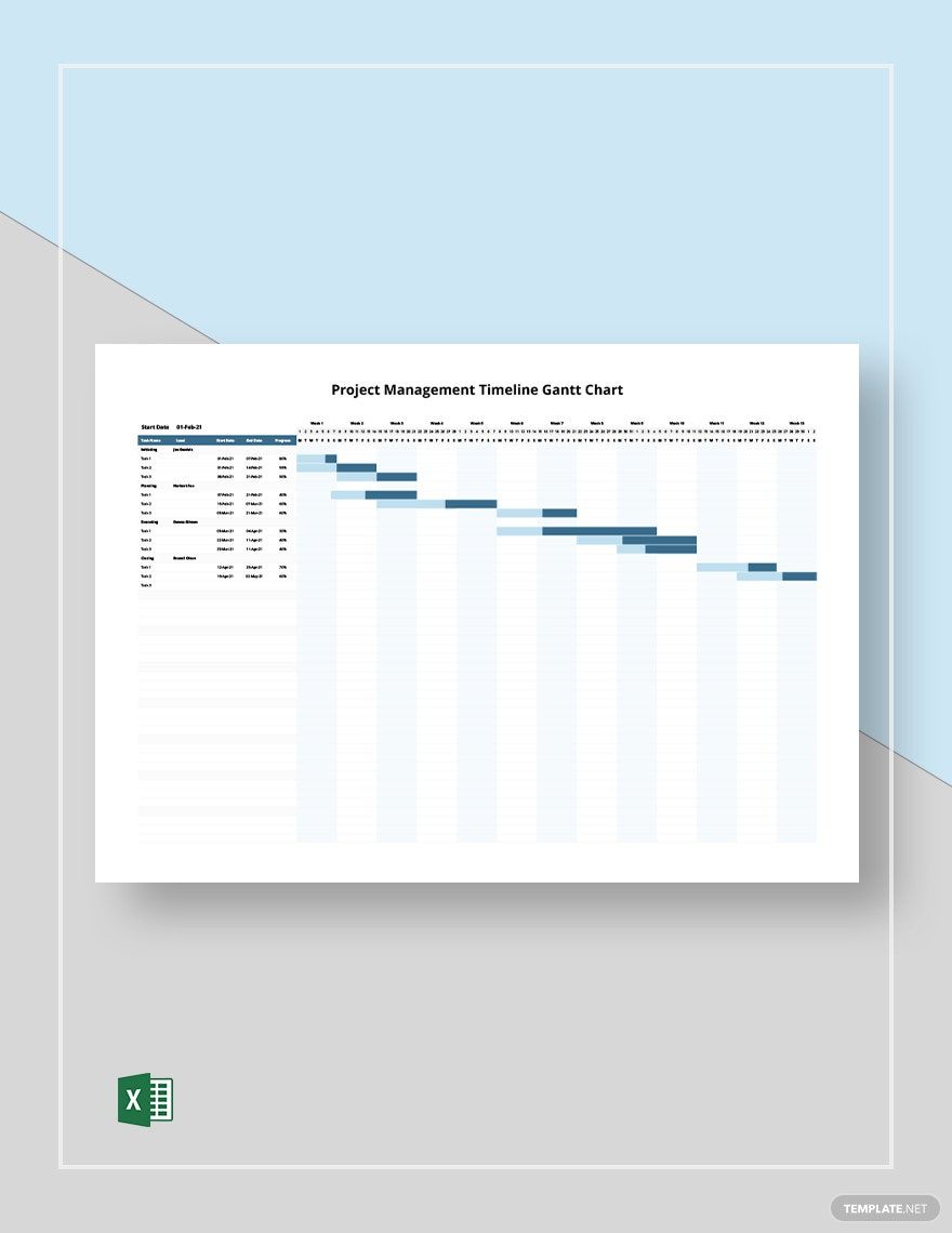 Project Management Timeline Gantt Chart Template