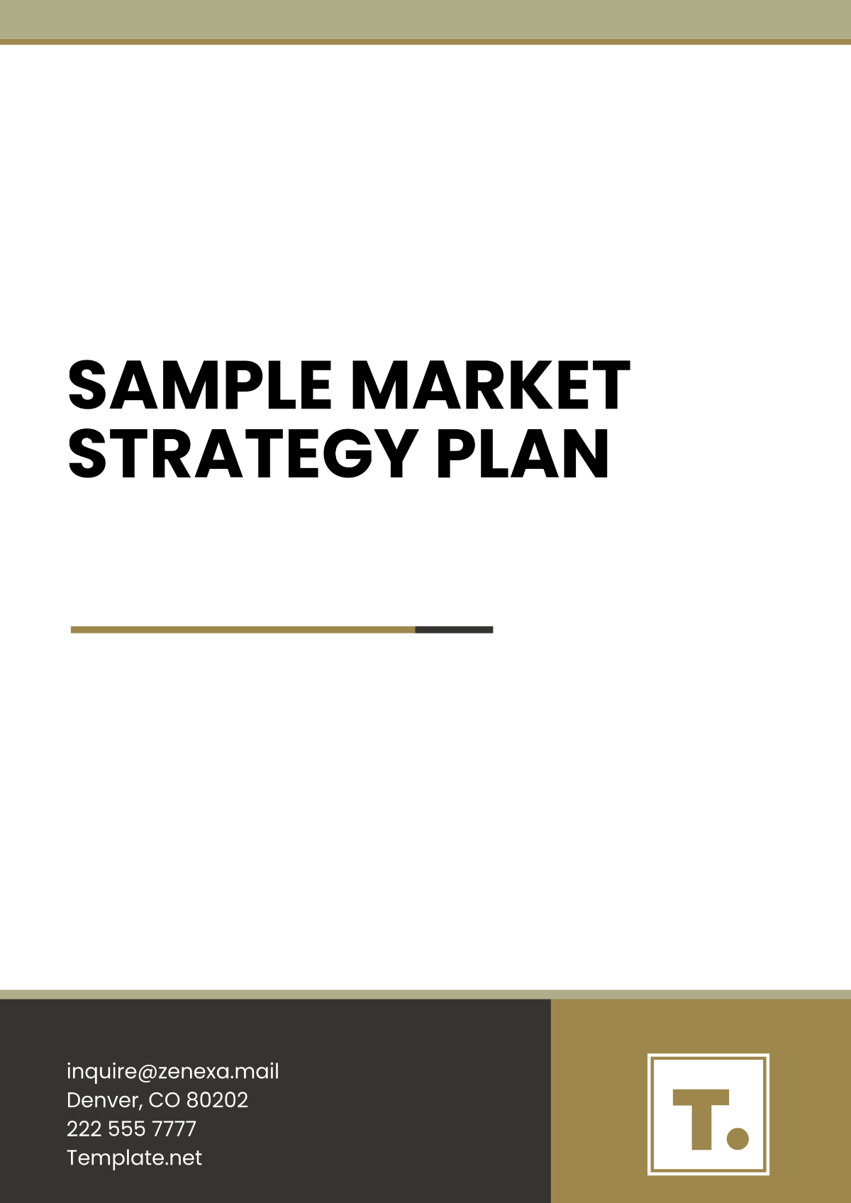 Sample Market Strategy Plan Template