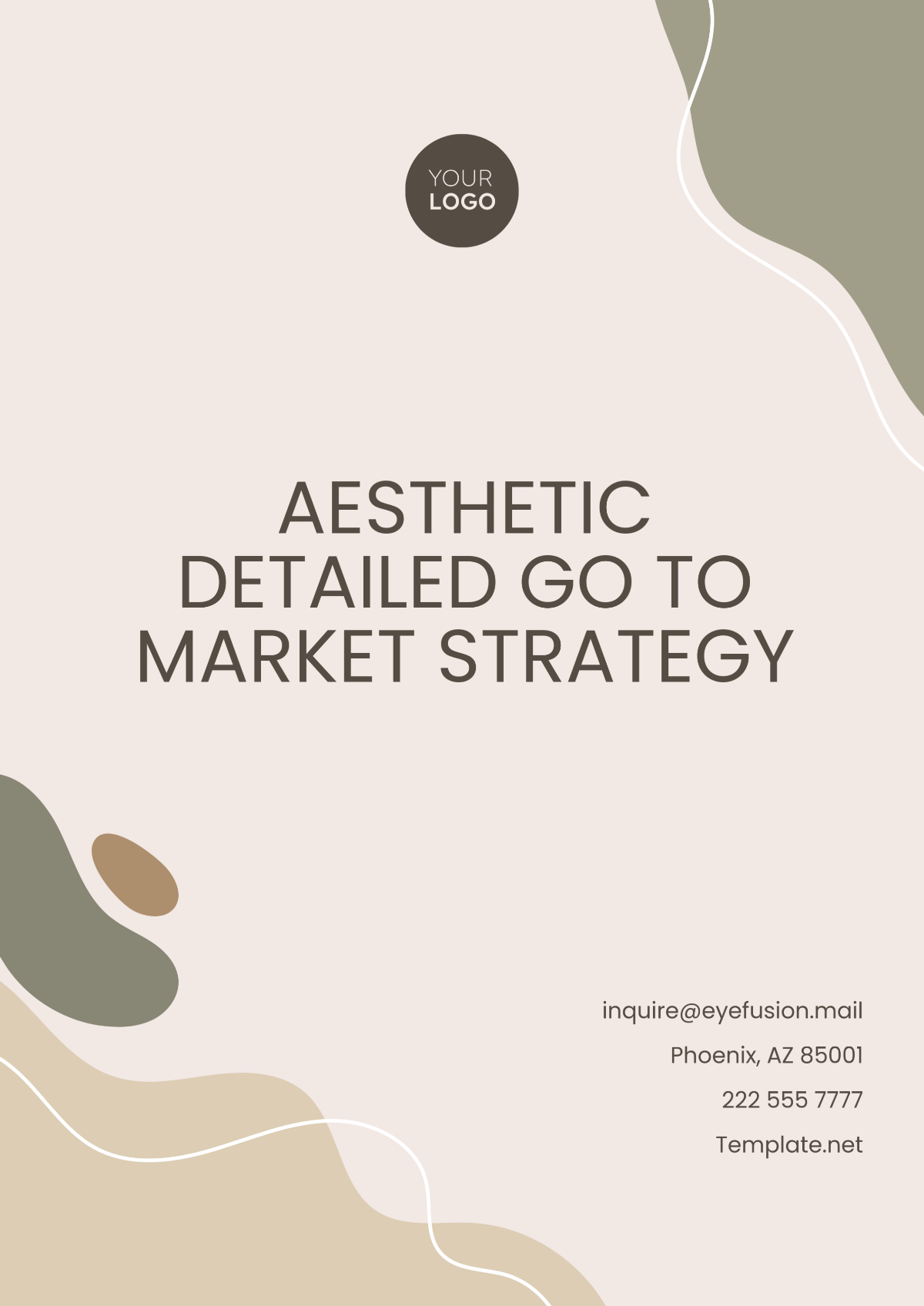 Free Aesthetic Detailed Go to Market Strategy Template