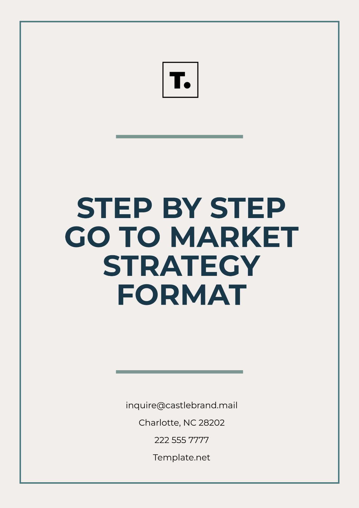 Step by Step Go to Market Strategy Format Template