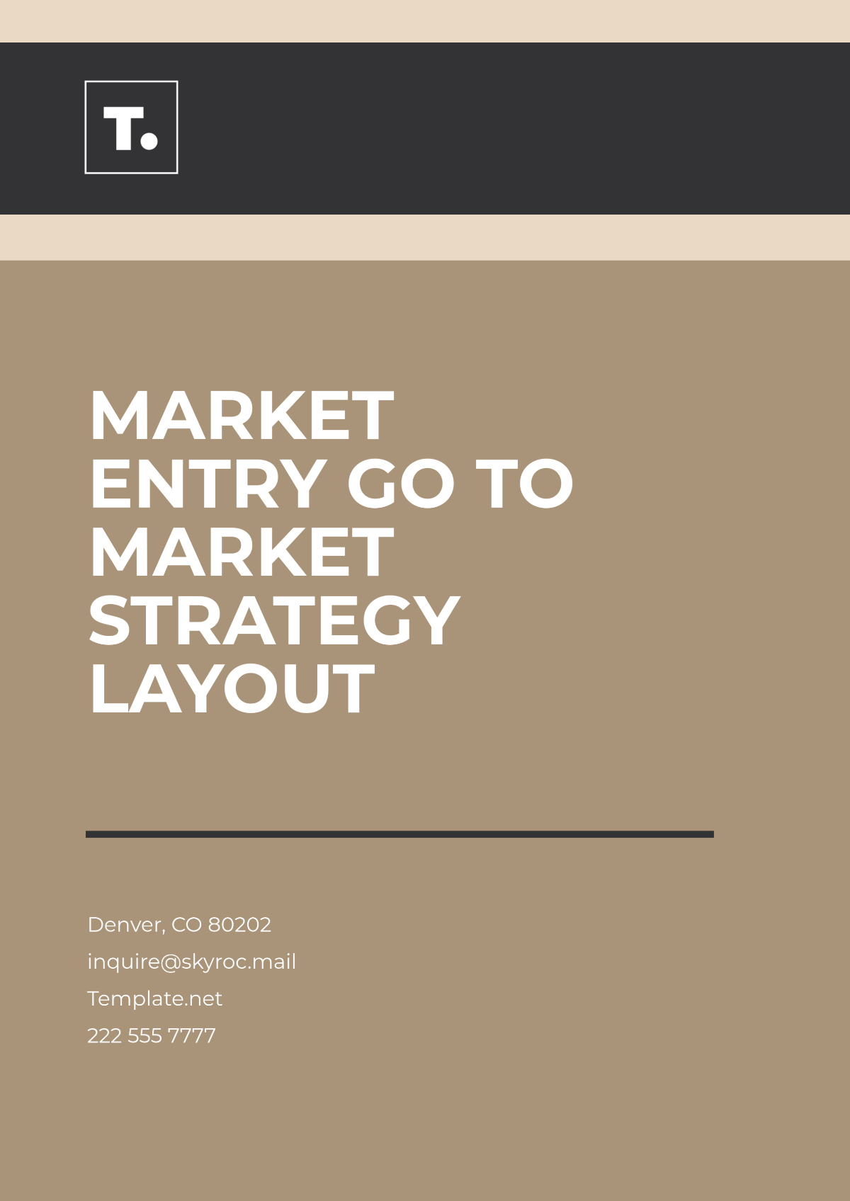 Market Entry Go to Market Strategy Layout Template