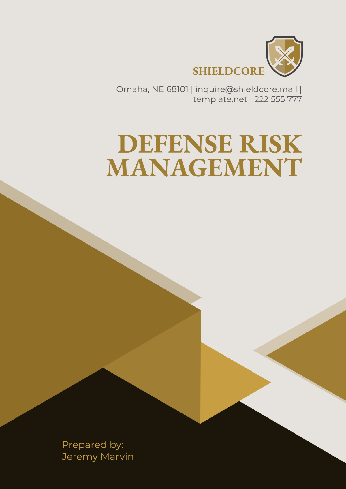 Free Defense Risk Management Template