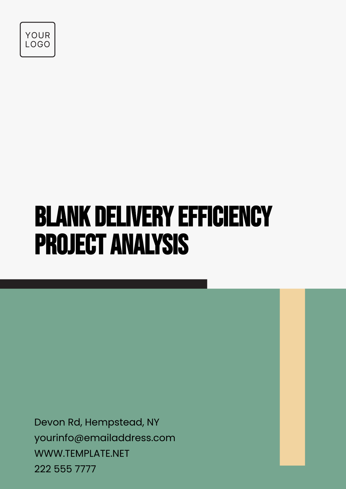 Free Blank Delivery Efficiency Project Analysis Template