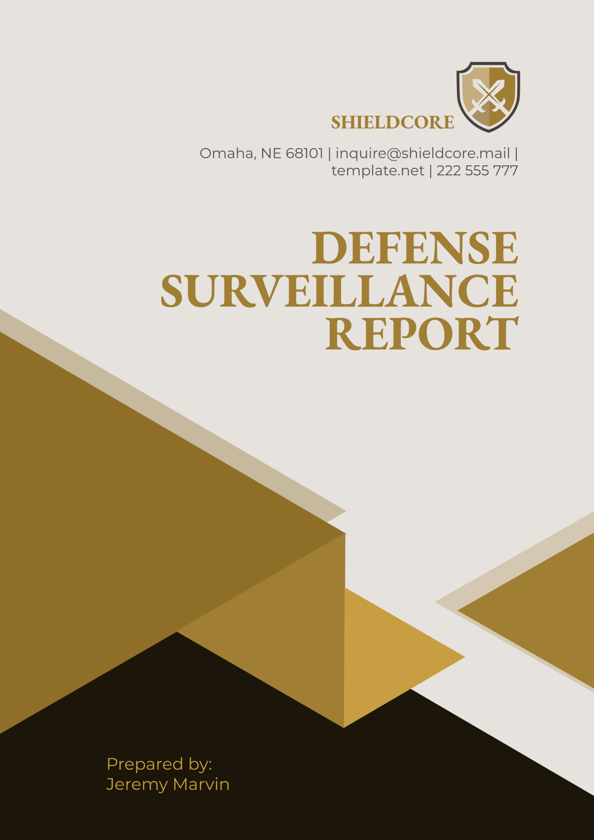 Defense Surveillance Report Template