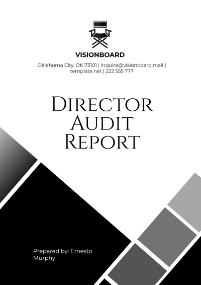 Free Director Audit Report Template to Edit Online
