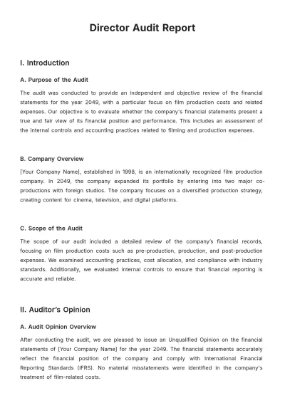 Free Director Audit Report Template to Edit Online