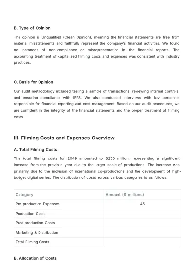 Free Director Audit Report Template to Edit Online