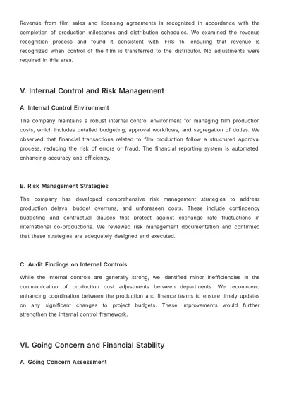 Free Director Audit Report Template to Edit Online