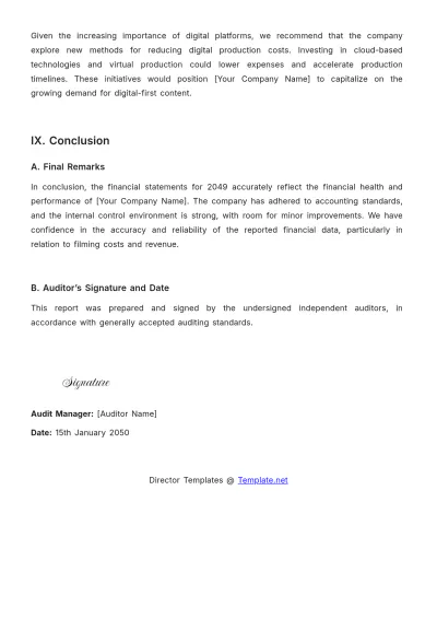 Free Director Audit Report Template to Edit Online
