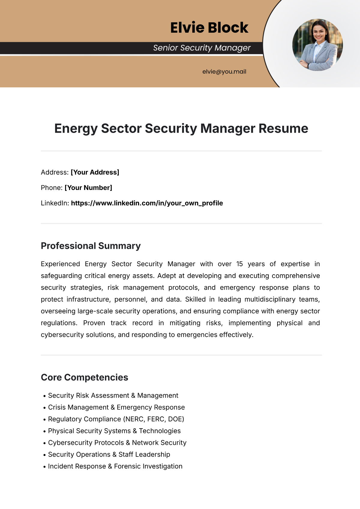 Free Energy Sector Security Manager Resume Template