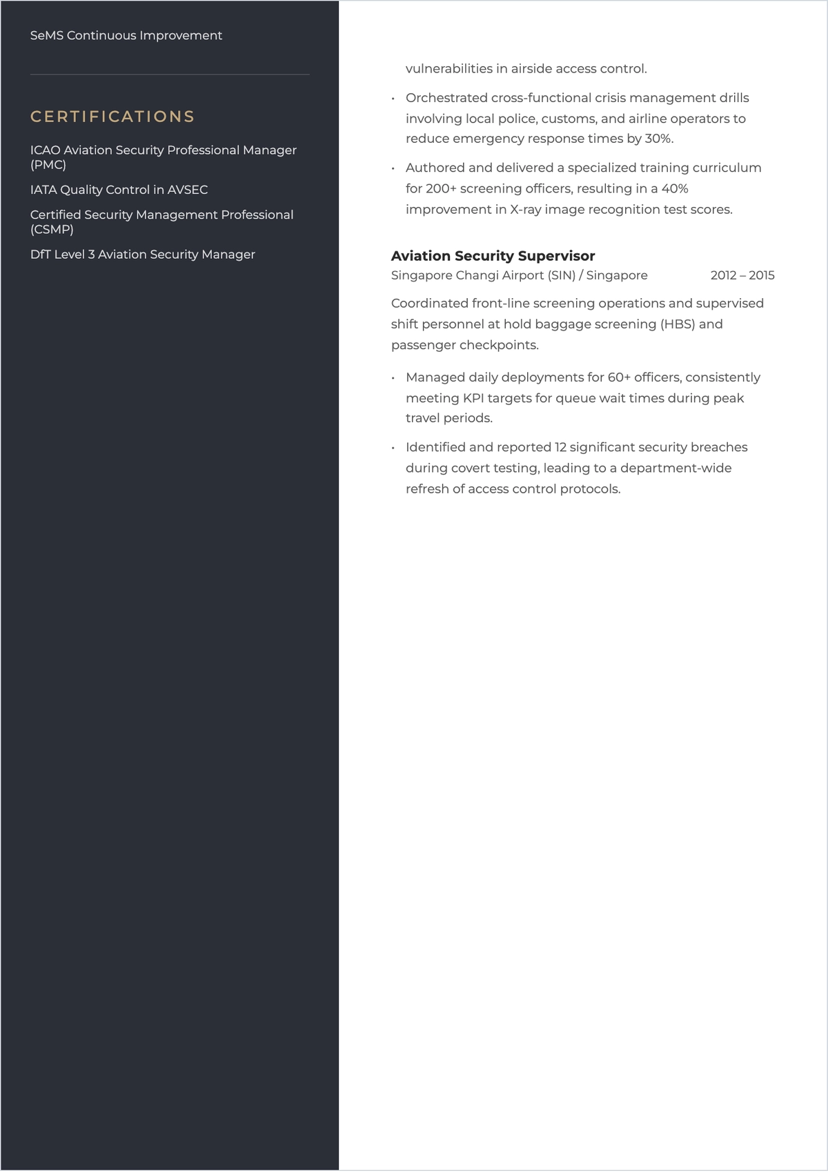 Free Printable Aviation Security Manager ATS Resume Template