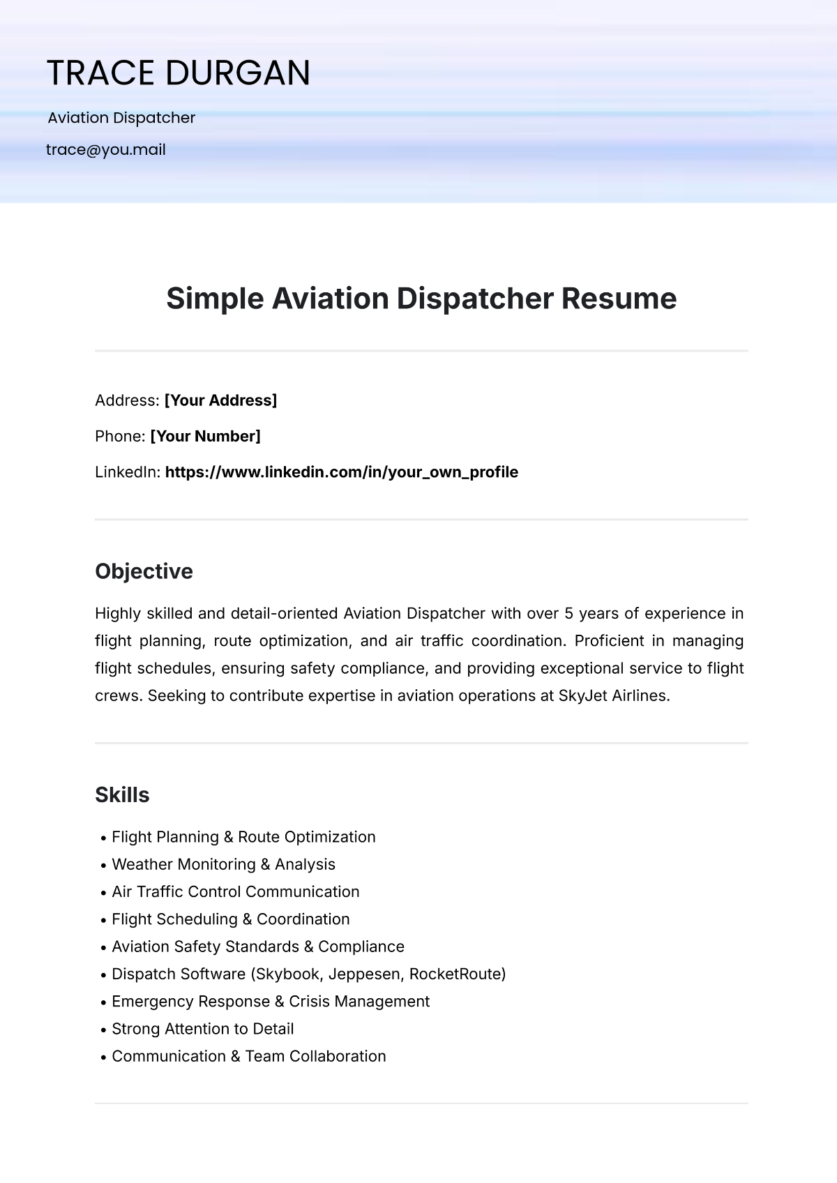 Free Simple Aviation Dispatcher Resume Template