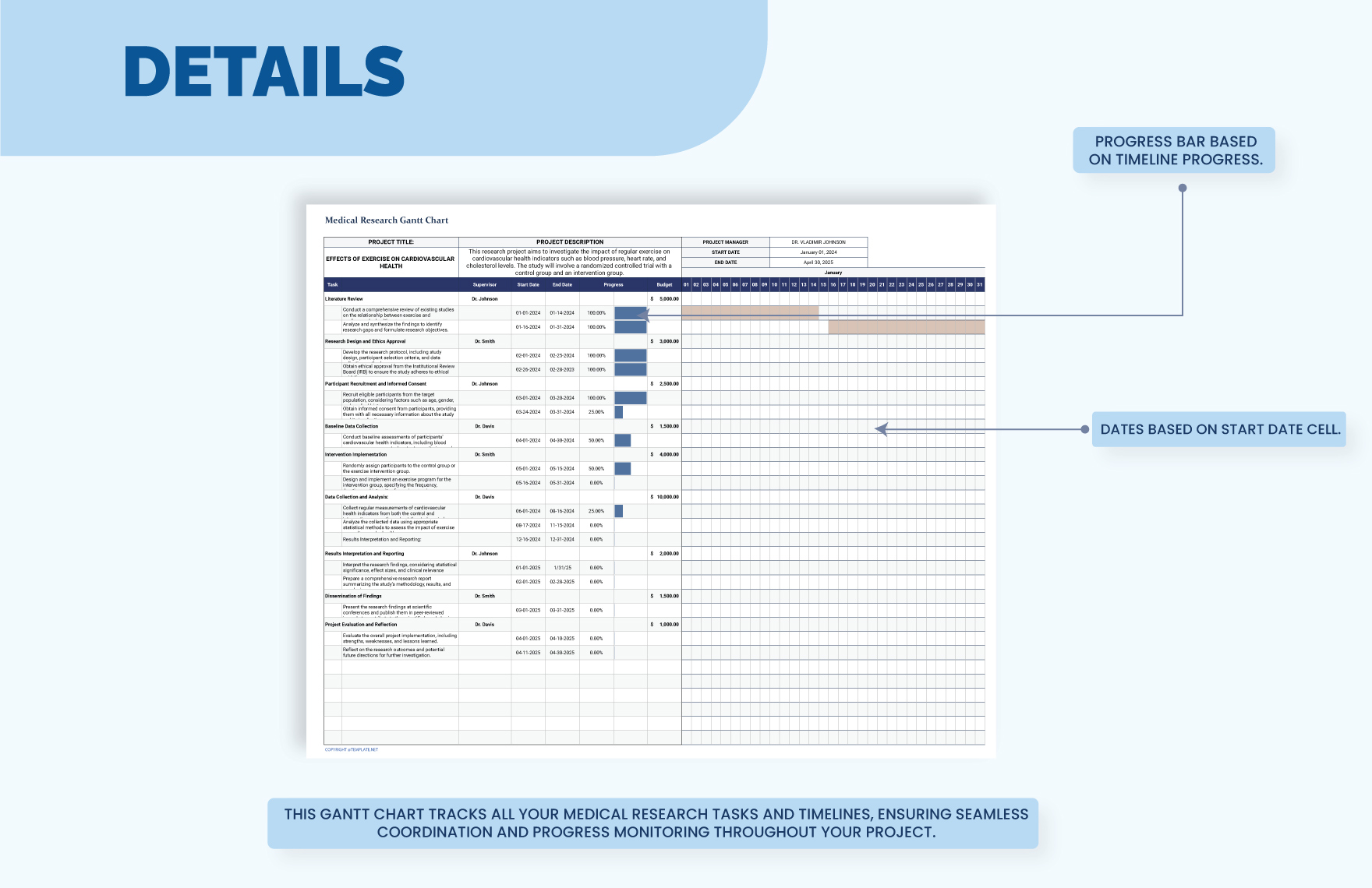 Medical Research Gantt Chart Template