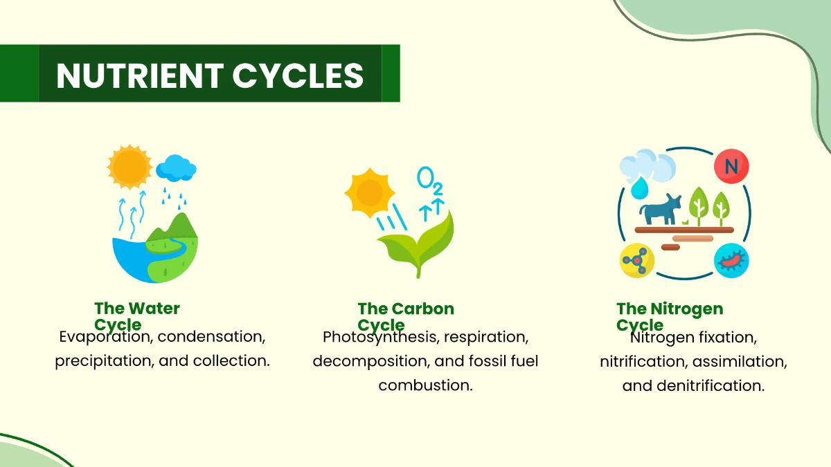 Free Environment Ecosystem PPT Template to Edit Online