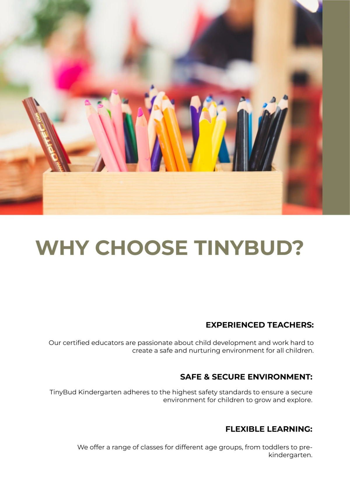 Free Minimalist Company Profile Template to Edit Online