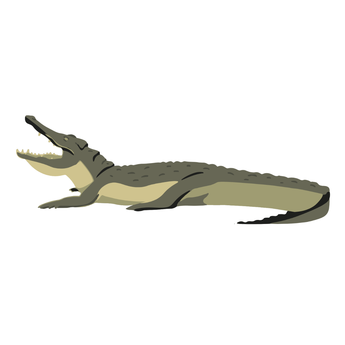 Free Transparent Alligator Clipart to Edit Online