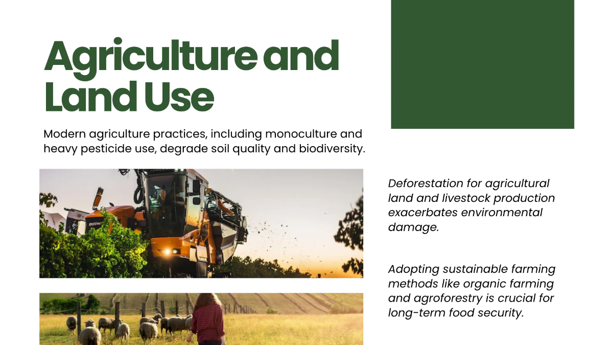 Free Human Impact On The Environment Presentation Template to Edit Online