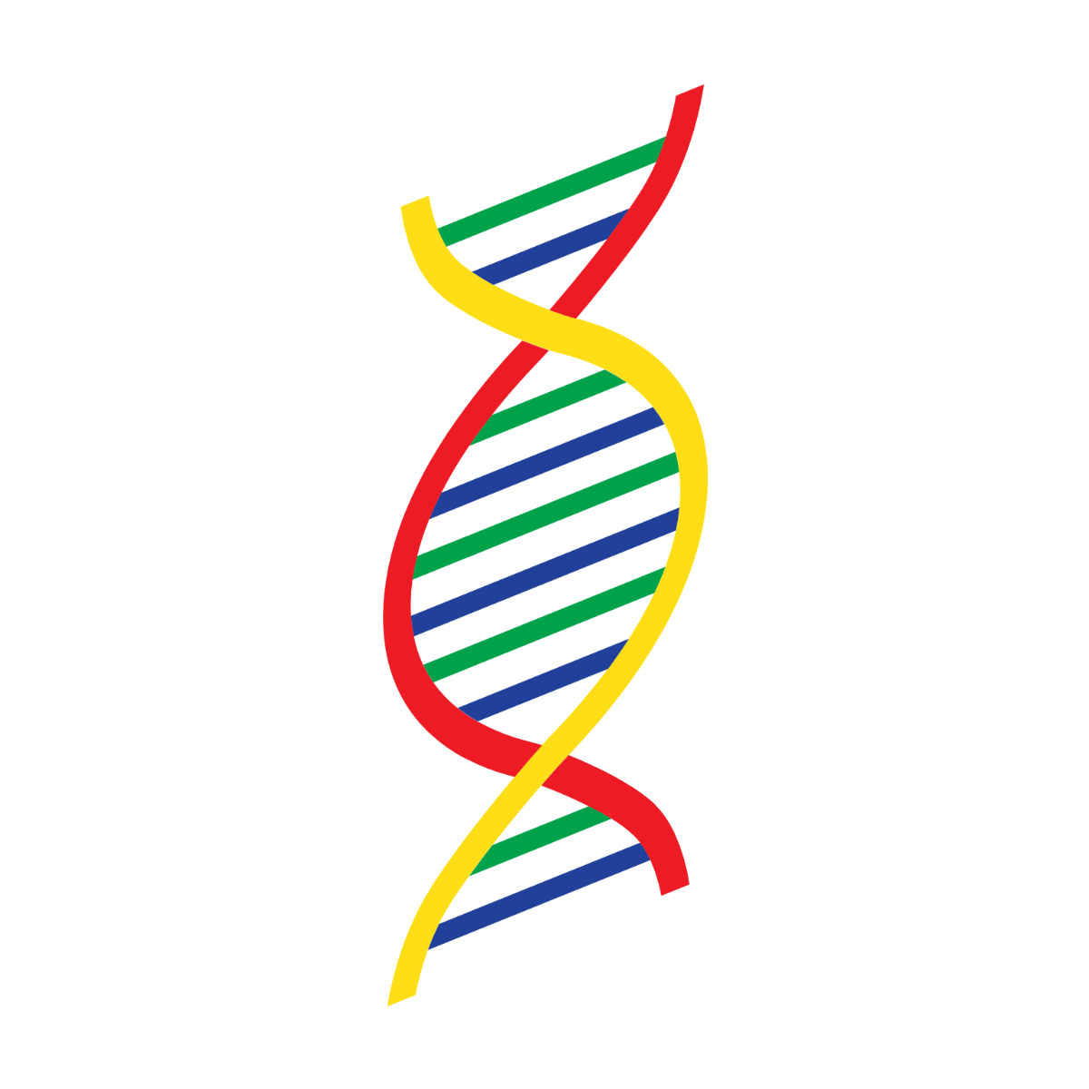 Free Kids DNA Clipart Template