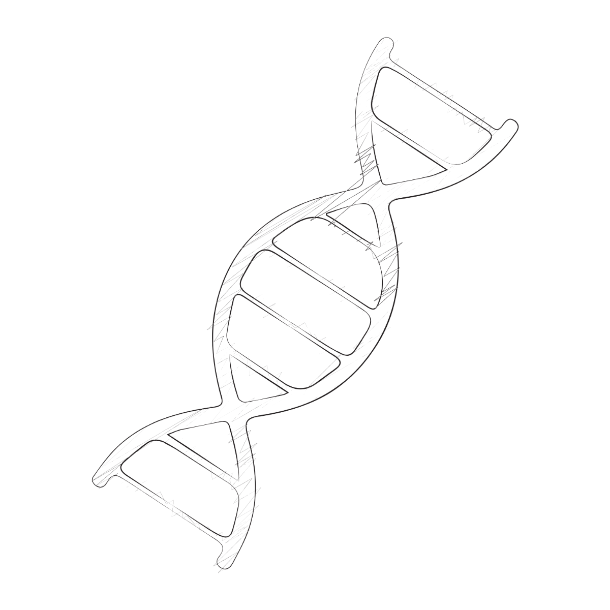 Free Hand-Drawn DNA Clipart Template
