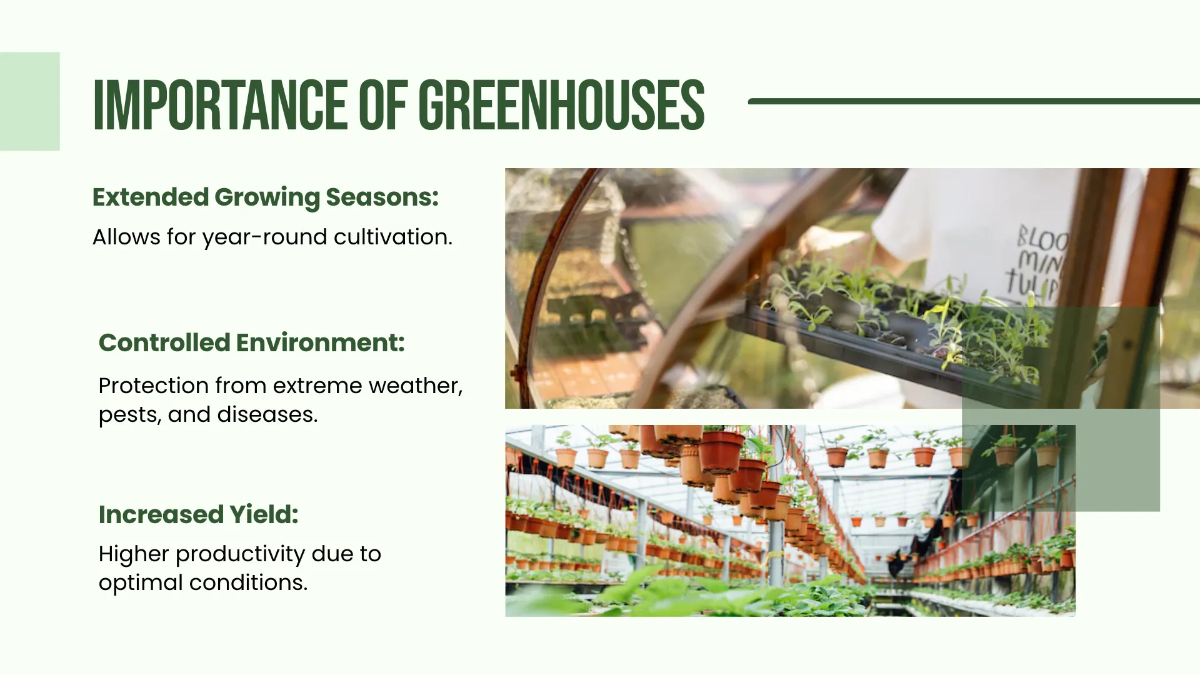 Free Greenhouse Environment Presentation Template to Edit Online