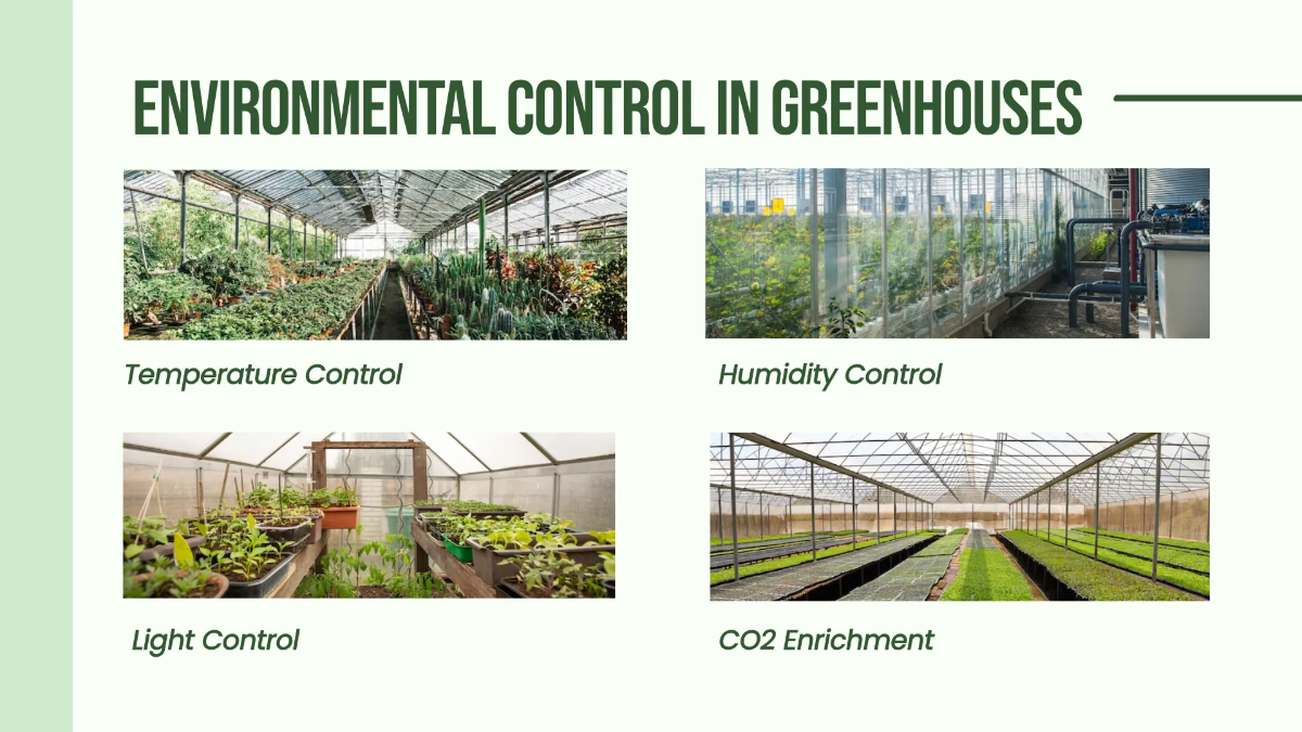 Free Greenhouse Environment Presentation Template to Edit Online