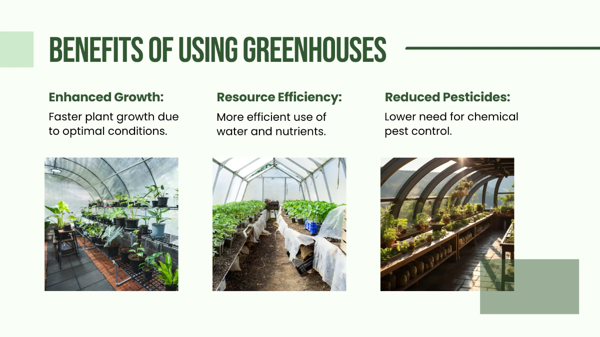 Free Greenhouse Environment Presentation Template to Edit Online