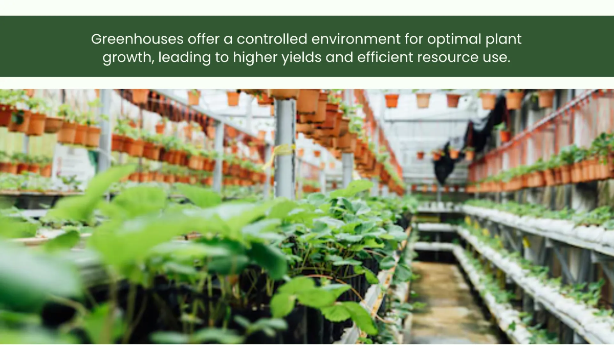 Free Greenhouse Environment Presentation Template to Edit Online