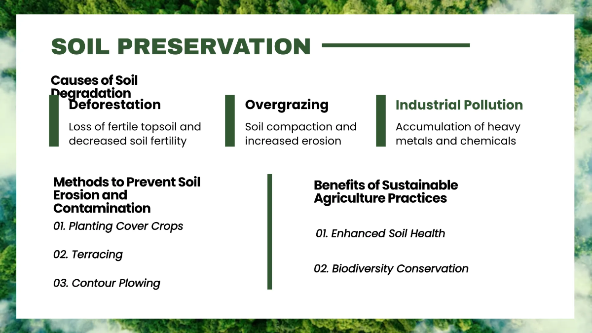Free Environment Hygiene Presentation Template to Edit Online